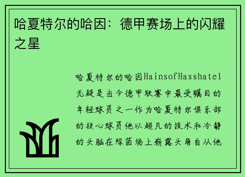哈夏特尔的哈因：德甲赛场上的闪耀之星
