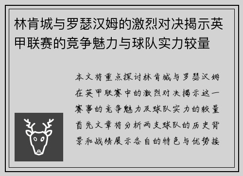 林肯城与罗瑟汉姆的激烈对决揭示英甲联赛的竞争魅力与球队实力较量