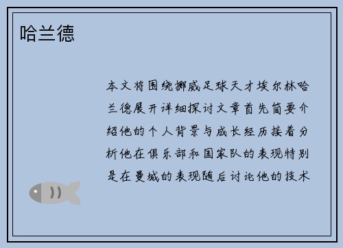哈兰德