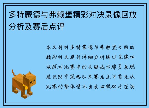 多特蒙德与弗赖堡精彩对决录像回放分析及赛后点评